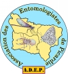 Logo adep