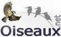 Oiseaux